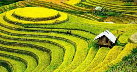 Quần dáng cong đang gây sốt với thiết kế độc đáo và tính ứng dụng cao, giúp tạo hiệu_Chiến lược tiếp thị kỹ thuật số