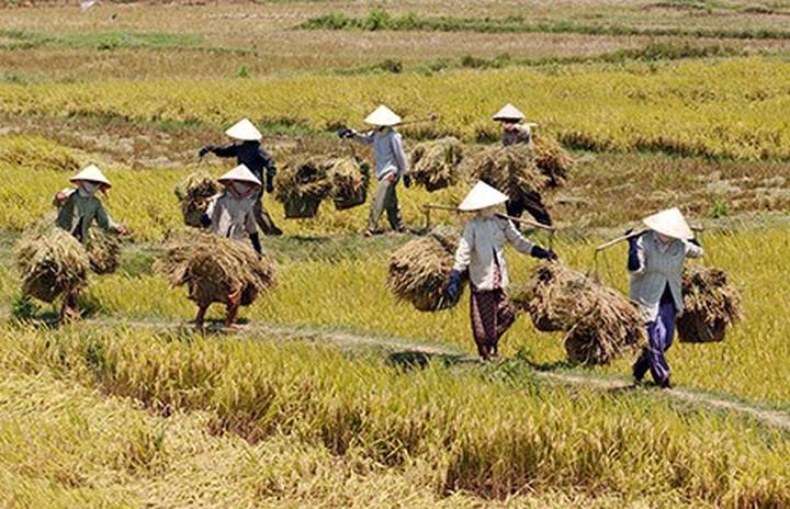 Hotspot Matrix và Hết Hà Tăng, tới dàn 