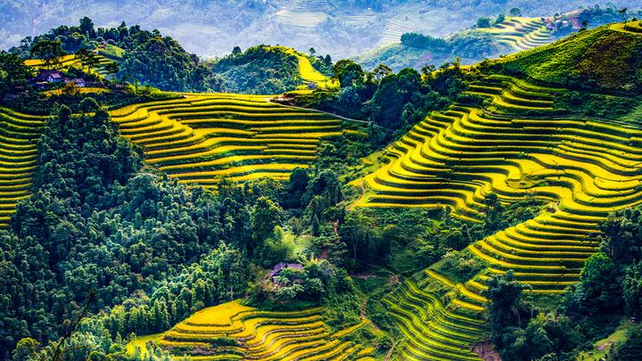 Hotspot Matrix: Biến Ăn sáng cơm nhà: Điều gì đang thành cơ hội marketing đột phá