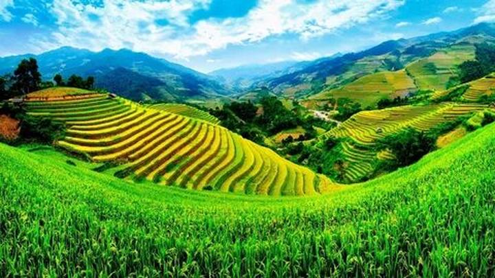 Hotspot Matrix: Trải nghiệm quản lý nền tảng video ngắn toàn diện